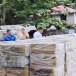 菲律宾南达沃省查获大量非法香烟共600箱！-博彩白嫖网-白嫖社区-白嫖论坛