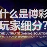 投资型博彩:如何像投资一样管理资金与风险?-博彩白嫖网-白嫖社区-白嫖论坛