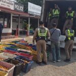 泰国警方查获53万粒冰毒药丸,狡猾毒贩用异味掩护仍落网-博彩白嫖网-白嫖社区-白嫖论坛